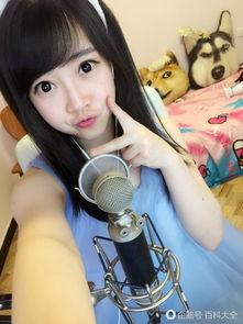 熊猫三字女主播,网络红人的崛起之路