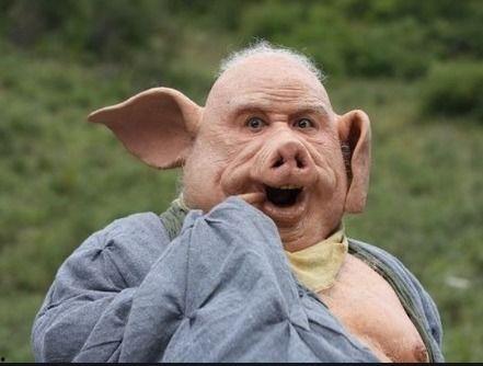 猪八戒霸气图片,勇猛神猪，守护取经之路