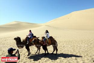 骆驼客拍摄背景,骆驼客的驼铃声声之旅